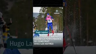 Miniature : Ski de fond : un sport d'équipe ? 🎿