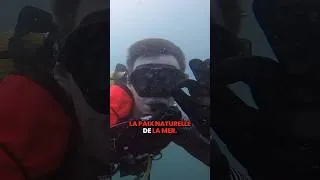Miniature : Quand Cousteau nous mettait déjà en garde