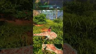 Miniature : This is how to hunt with a Troodon . #theisle #evrima #dinosaur #troodon