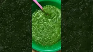 Miniature : marinade vert pour accompagner vos plats à ma façon recette simple et délicieux
