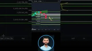 Miniature : Comment performer en Bear Market Crypto ? 📊