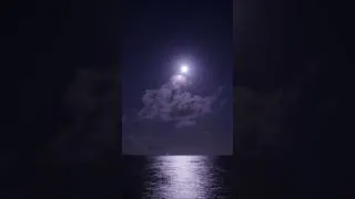 Miniature : Moon🌜 #edm #electronicmusic #electronic #foryou #for #viral #viralvideo #enjoy #joy #shorts #short