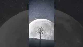 Miniature : Luna🌝 #edm #electronicmusic #electronic #foryou #for #viral #viralvideo #enjoy #joy #shorts #short