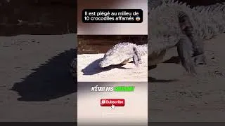 Miniature : Il est piégé à mort au milieu de dix croco affamés #film #hollywood