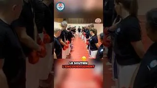 Miniature : 🔥 KanGeiko 2026 ❄️ un stage de karaté en immersion !