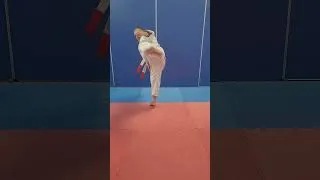 Miniature : Yoko Geri keage    entrainement  pour kata