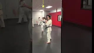 Miniature : Ceinture Avancé Technique 1