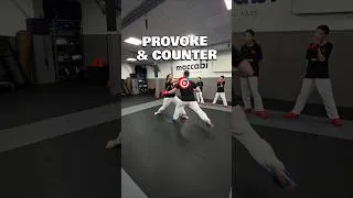 Miniature : Provoke and Counter : Very important in Karate Kumite to provoke what you want to do.It is strategy🥋