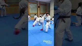 Miniature : Karate Kumite - Reaction and explosive strength  #karate #kumite #shorts