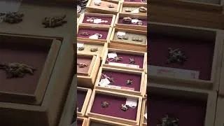 Miniature : KATANA Market