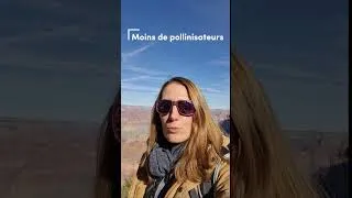 Miniature : Le Grand Canyon se réchauffe et les conséquences sont surprenantes
