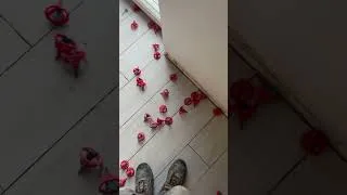 Miniature : La rapidité de dépose des Shaffer pro 🤪 #renovation #karotuto #shafferpro #croisillons