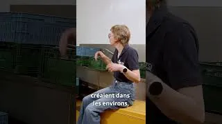 Miniature : Les éclaireurs montrent que c'est possible | Céline Ernst TCO Service