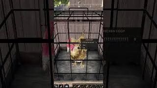 Miniature : TEST Rancher: A New Life 🐔🔥 — Le jeu de ferme le plus complet de 2026