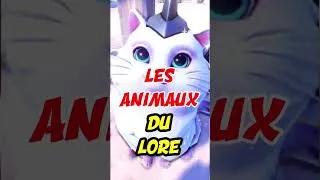 Miniature : Les COMPAGNONS à PATOUNES du LORE D'OVERWATCH #overwatch #overwatch2