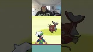Miniature : ILS TUE MES CAPTURE!!!!! #crowdcontrol #pokemonemerald #twitch