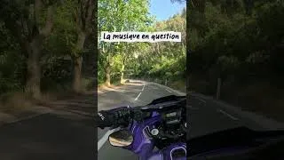 Miniature : La musique qui part en co*lle! #442 #harleydavidson #motovlog #softail #gopro #bikers