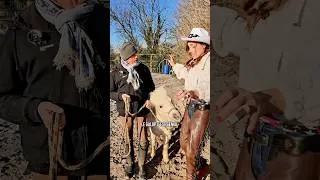 Miniature : Kelly apprend le mener avec Frimousse 🐴🤣 #équitation #sketch #poney #comedie #kellysansfiltre