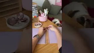 Miniature : Elle vit la vie en mode difficile... ❤️‍🩹 (Préparation de commande 🎀)