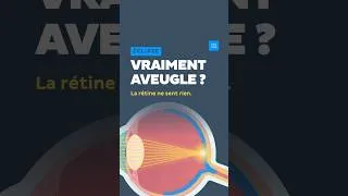 Miniature : Regarder une éclipse rend-il aveugle ? Ce que subit ta rétine