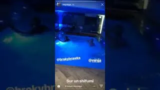 Miniature : NINJA ET BAWKS SAUTE DANS LA PISCINE DE GOTAGA