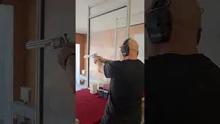 Miniature : TIRS S&W500
