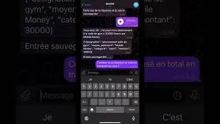 Miniature : Un bot de suivi des dépenses que j’ai créé avec l’API de ChatGPT. Tutoriel sur ma chaîne
