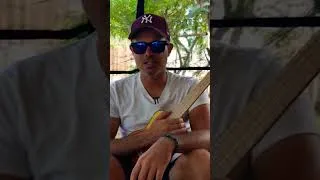 Miniature : PERCUSSIVE REGGAE ON UKULELE #ukulele #reggae #reggaemusic #fingerstyle #musicvideo #shortsvideo