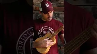 Miniature : GREENSLEEVES UKULELE COVER #ukulele #ukulelecover #greensleeves #fingerstyle #medieval #shortsvideo
