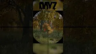 Miniature : 3 kills très rapide (comment faire deviner full stuff son mate #dayz #dayzpvp #dayzgamers #gaming