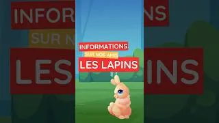 Miniature : Le monde trop chou des lapins !