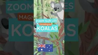 Miniature : Le koala, champion du dodo !