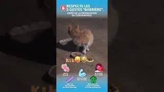 Miniature : le chat 2