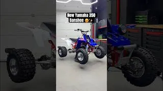 Miniature : Yamaha 350 Banshee 😍