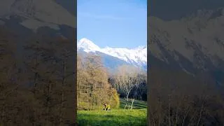 Miniature : WHAT A LIFE #FrenchAlps #Mountains #France #Springtime #Alive