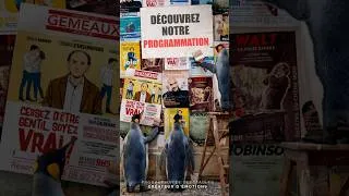 Miniature : KMMS au Festival Off d'Avignon 2026