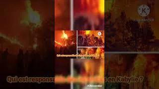 Miniature : Qui est responsable des incendies en Kabylie ?