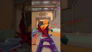 Miniature : Training vs Ranked...