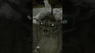 Miniature : Shadow of the Colossus - Review