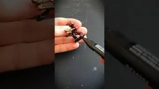 Miniature : Most satisfying moment of any mini painting 👌