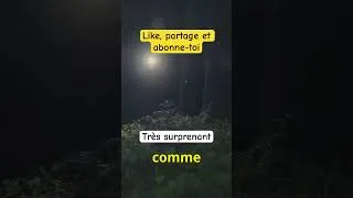 Miniature : ✨ Des lumières étranges observées en Norvège 🇳🇴 #coincidence #histoirevraie #insolite #histoire