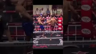 Miniature : A powerful kick that knocks down the opponent directly #ufc #mma #foryou #fypシ #viral #viralshorts