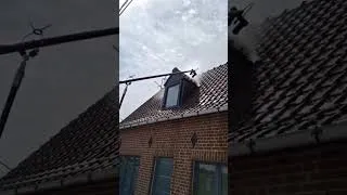 Miniature : Nettoyage de toiture | Entreprise d'entretien de toiture à Tournai