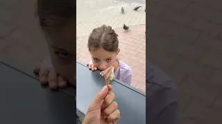 Miniature : #funny  😂😂😂