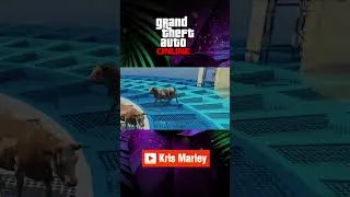 Miniature : Vache Parkour Final #gta5 #cow #parkour #vache #wtfmoments