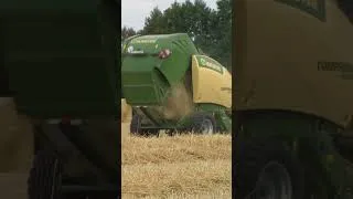Miniature : 👉𝗚𝗔𝗠𝗠𝗘 𝗞𝗥𝗢𝗡𝗘 𝗖𝗢𝗠𝗣𝗥𝗜𝗠𝗔 !👈 #agriculture