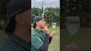 Miniature : Le sifflet le plus puissant du monde peut il briser un verre ?