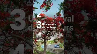Miniature : 5 choses à savoir sur le flamboyant