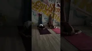 Miniature : Yin Yoga – Lâcher-prise et sérénité