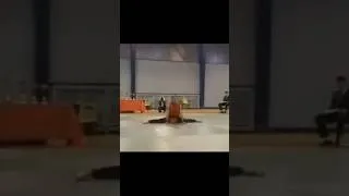 Miniature : Kung Fu & Acrobatics